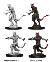 D&D Nolzur’s Marvelous Miniatures: Tiefling Male Rogue