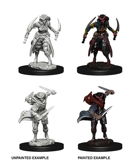 D&D Nolzur’s Marvelous Miniatures: Tiefling Female Rogue