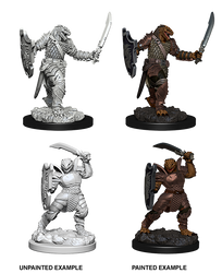 D&D Nolzur’s Marvelous Miniatures: Dragonborn Female Paladin