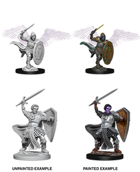 D&D Nolzur’s Marvelous Miniatures: Aasimar Male Paladin