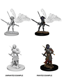 D&D Nolzur’s Marvelous Miniatures: Aasimar Female Paladin