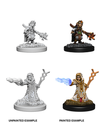 D&D Nolzur’s Marvelous Miniatures: Female Gnome Wizard