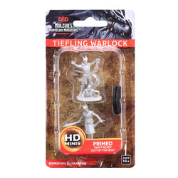 D&D Nolzur’s Marvelous Miniatures: Male Tiefling Warlock