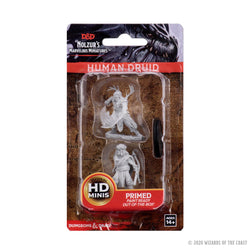 D&D Nolzur’s Marvelous Miniatures: Male Human Druid
