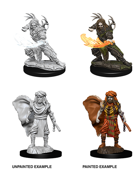 D&D Nolzur’s Marvelous Miniatures: Male Human Druid