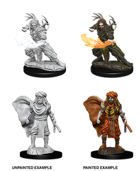 D&D Nolzur’s Marvelous Miniatures: Male Human Druid