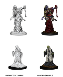 D&D Nolzur’s Marvelous Miniatures: Green Hag & Night Hag
