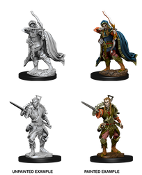 D&D Nolzur’s Marvelous Miniatures: Male Elf Rogue