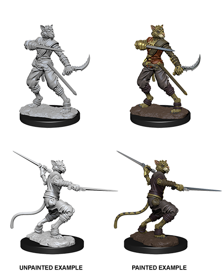 D&D Nolzur’s Marvelous Miniatures: Male Tabaxi Rogue