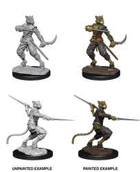 D&D Nolzur’s Marvelous Miniatures: Male Tabaxi Rogue
