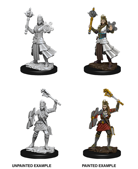 D&D Nolzur’s Marvelous Miniatures: Female Human Cleric