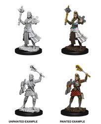 D&D Nolzur’s Marvelous Miniatures: Female Human Cleric