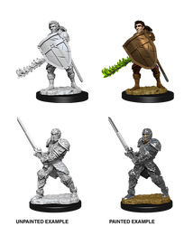 D&D Nolzur’s Marvelous Miniatures: Male Human Fighter