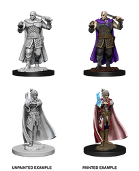 D&D Nolzur’s Marvelous Miniatures: Human Ranger & Moon Elf Sorcerer