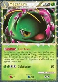 Meganium (HGSS08) [HeartGold & SoulSilver: Black Star Promos]