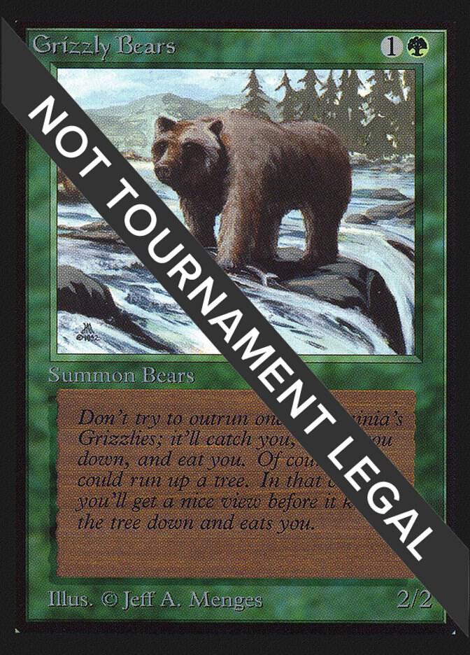 Grizzly Bears [International Collectors' Edition]