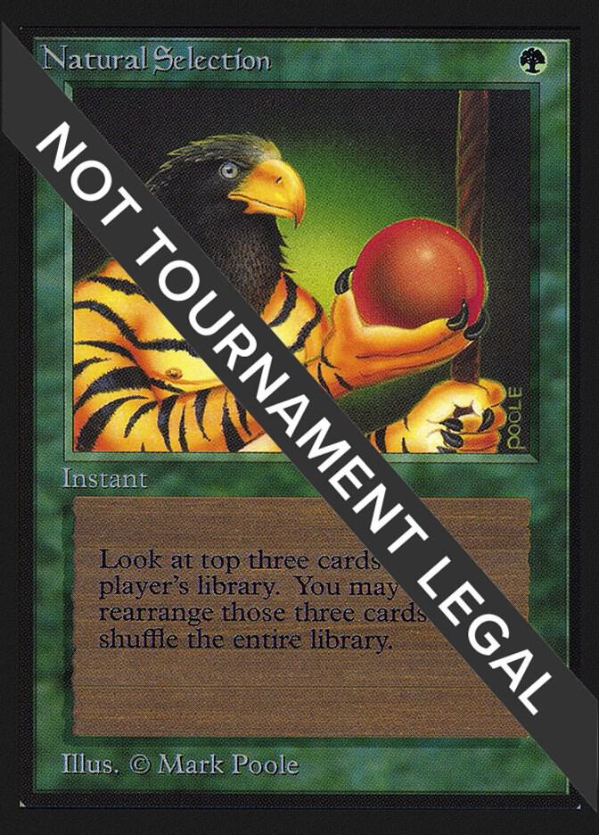 Natural Selection [International Collectors' Edition]