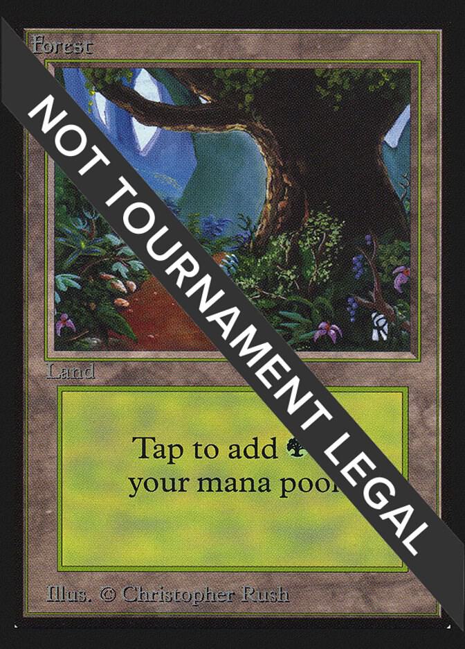 Forest (Flower Path) [International Collectors' Edition]
