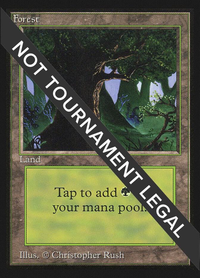 Forest (Eyes in Tree) [International Collectors' Edition]