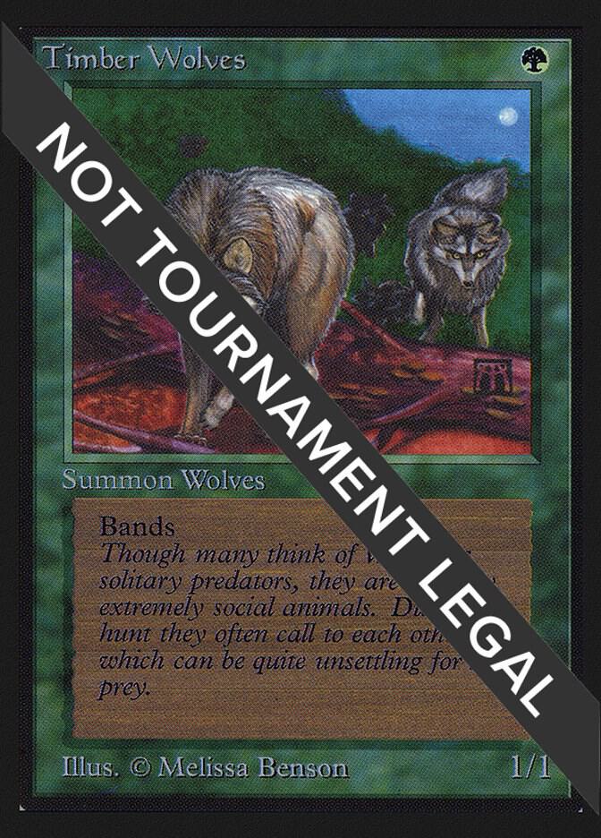 Timber Wolves [Collectors' Edition]