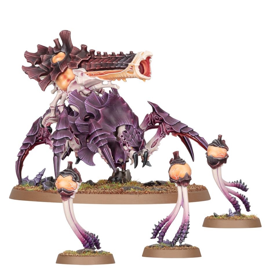 Warhammer 40,000: Tyranids: Combat Patrol: Tyranid Assault Brood