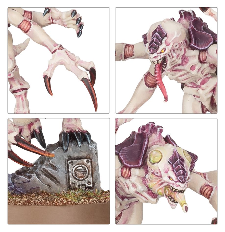 Warhammer 40,000: Tyranids: Combat Patrol: Tyranid Assault Brood