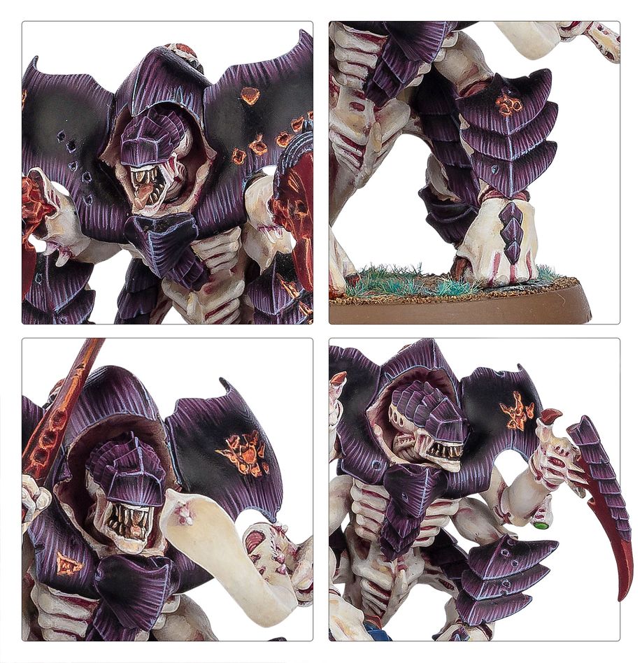 Warhammer 40,000: Tyranids: Combat Patrol: Tyranid Assault Brood