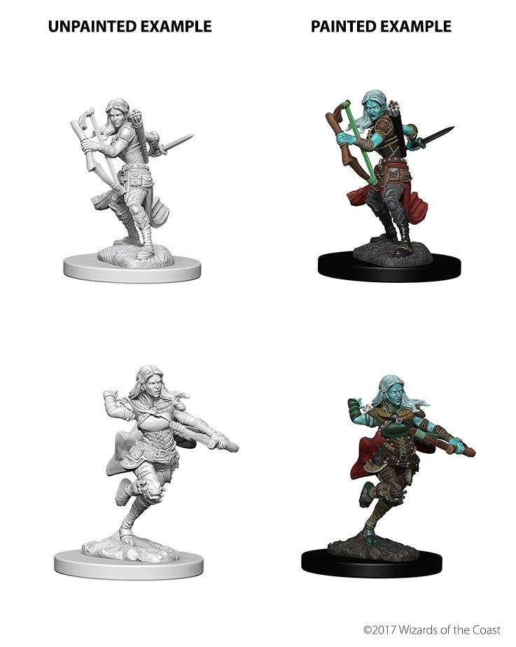 D&D Nolzur’s Marvelous Miniatures: Air Genasi Female Rogue