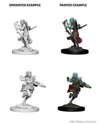 D&D Nolzur’s Marvelous Miniatures: Air Genasi Female Rogue