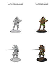 D&D Nolzur’s Marvelous Miniatures: Human Male Bard