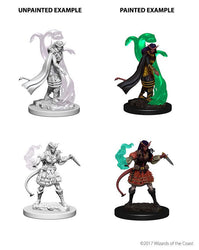 D&D Nolzur’s Marvelous Miniatures: Tiefling Female Sorcerer