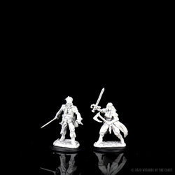 D&D Nolzur’s Marvelous Miniatures: Vampire Hunters